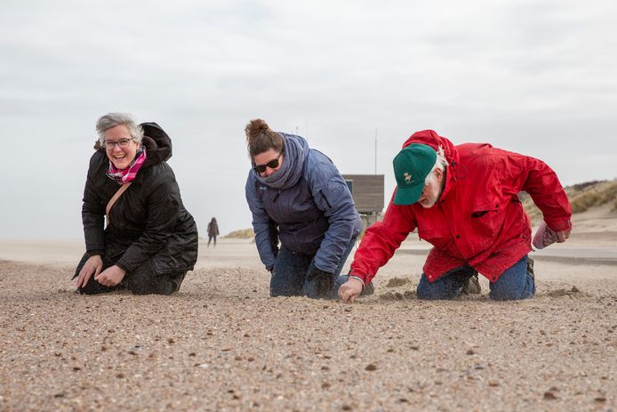 Vlnr: Schelpenkenners Hester Loeff, Digna Mielard en Anthonie van Peursen zijn in Renesse van de partij om mensen alles te vertellen over schelpen