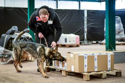 Luna, le premier chien de la police fédérale formé pour détecter les traces numériques
