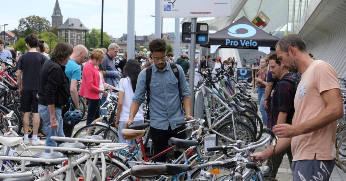 Velo a vendre liege store