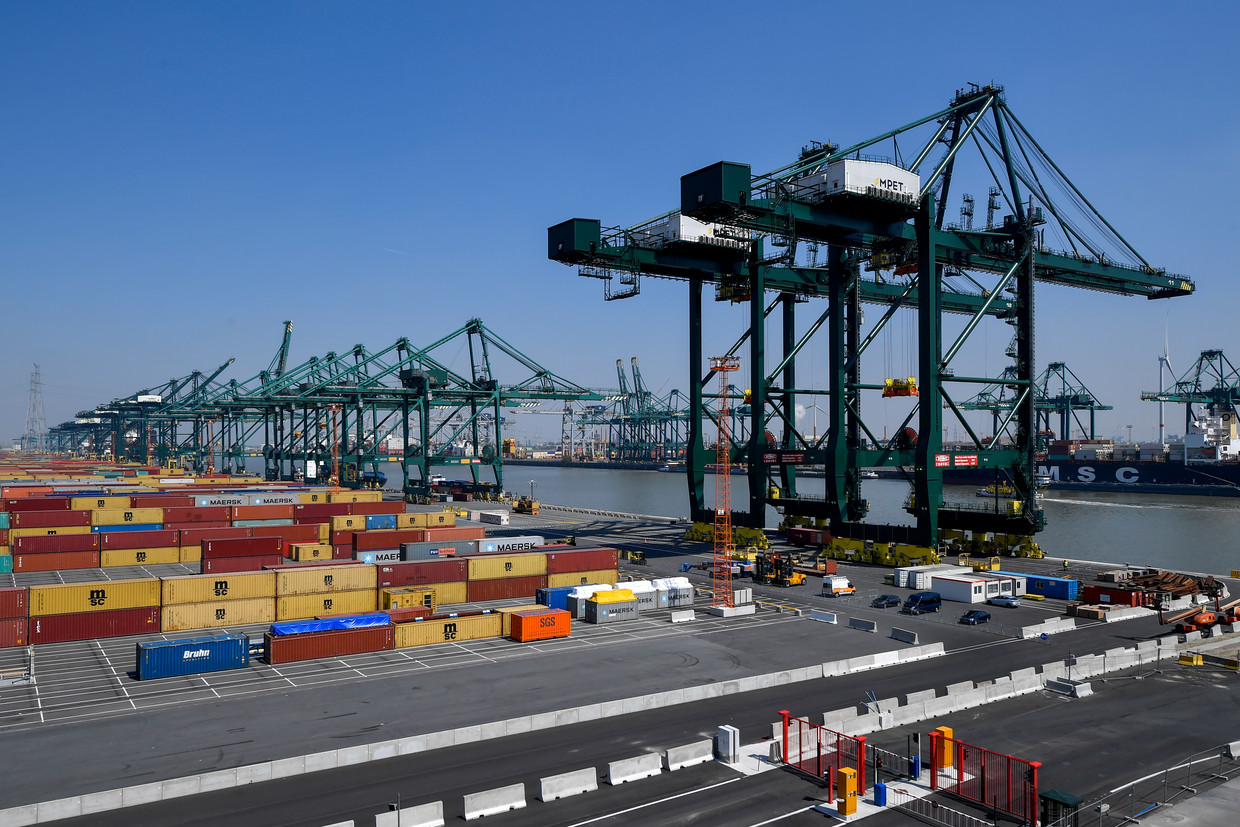 Containers in de Antwerpse haven. Beeld BELGA