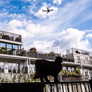 Slimme ramen temperen vliegtuiglawaai: proef bij Schiphol uitgebreid naar woningen