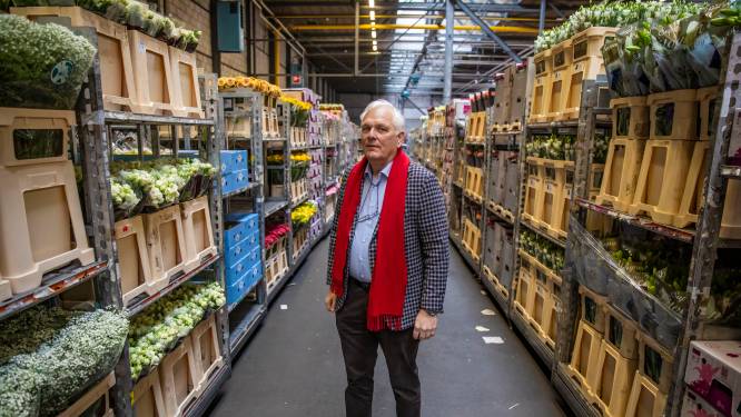 De glans is weg in het Westland, en dat allemaal dankzij een virus