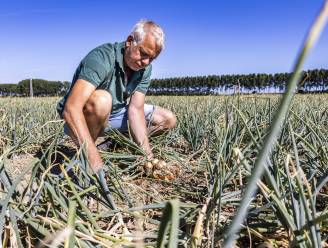 Landbouwers kunnen droogteschade melden bij gemeente