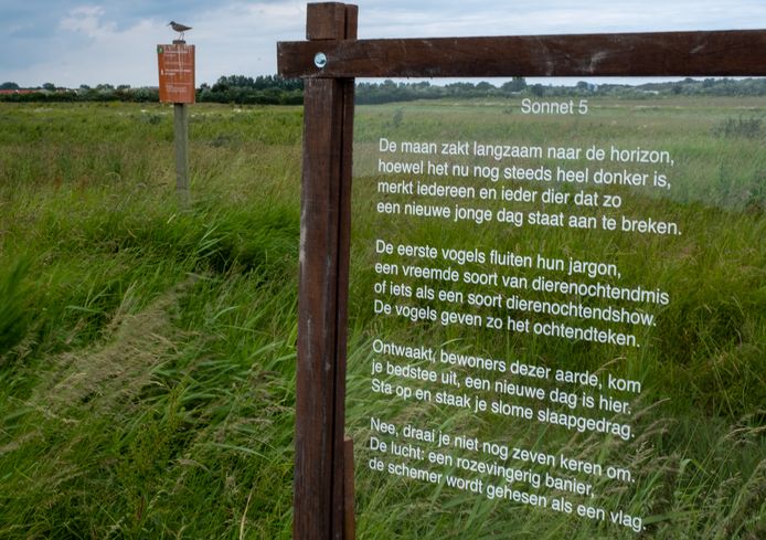 Poëzie in het landschap. De route is één van de uitstapjes die tijdens de Kunstschouw valt te maken. Een initiatief van Korreltje Zeezout die bij de Kunstschouw is aangehaakt.