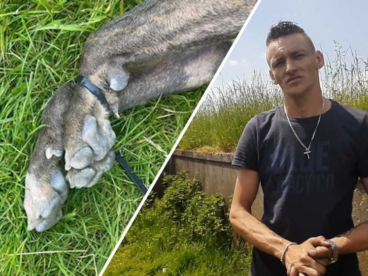 Het is onbegrijpelijk dat Frank de Boer Jasper Cillessen ...