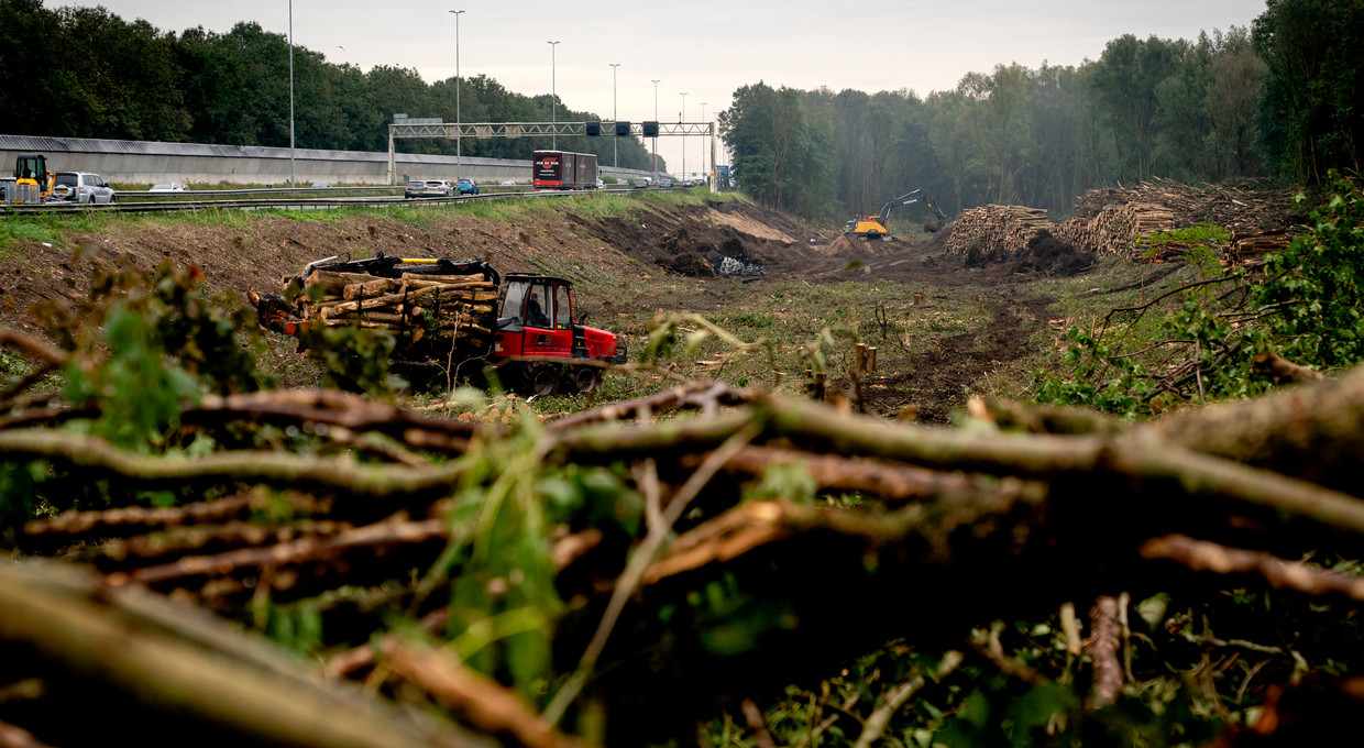 Voor de verbreding van de drukke A9 bij Ouderkerk aan de Amstel moeten bomen worden gekapt.