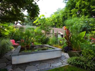 Overstijgen je dromen je budget? Zoveel kost een lening voor een tuinproject