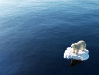Noordpool warmt bijna vier keer sneller op dan wereldwijd gemiddelde, blijkt uit nieuwe studie