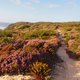 Ongerept Alentejo: Portugal op z'n mooist