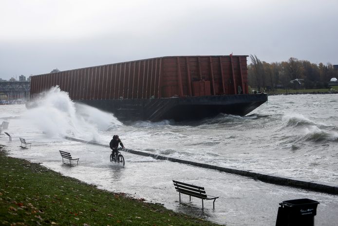 Een man fietst door het over de kade slaande zeewater in Vancouver. Op de achtergrond een losgeslagen binnenschip met een container.