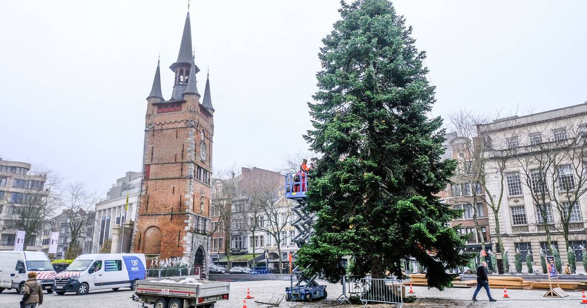 Hij staat er de grootste kerstboom van het land Kortrijk hln.be