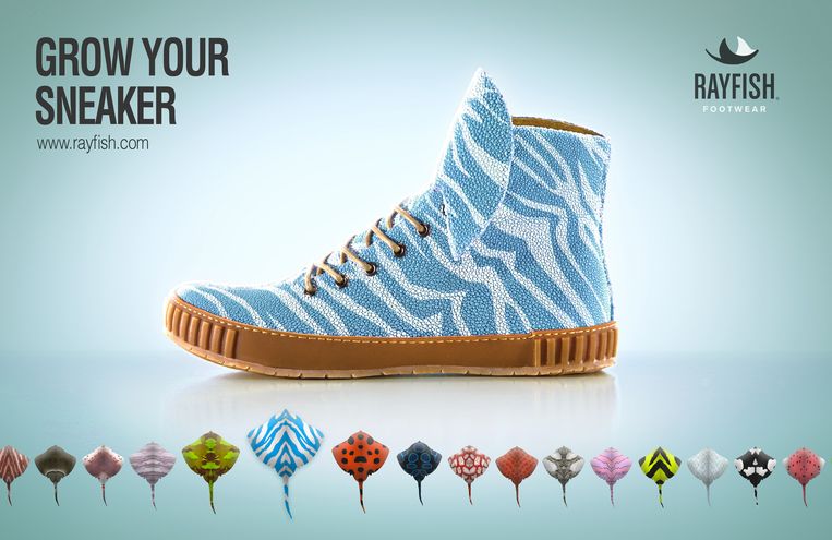 The Rise and Fall of Rayfish Footwear, een project van Next Nature Network. Een fictief bedrijf adverteert online met sneakers gemaakt van gekweekt roggenvel. Beeld .