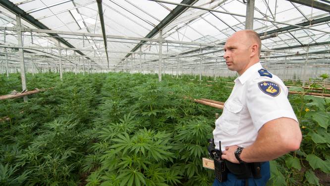 Vrijspraak in rechtszaak ‘grootste’ hennepplantage ooit