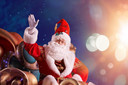 Mickey’s Dazzling Christmas Parade