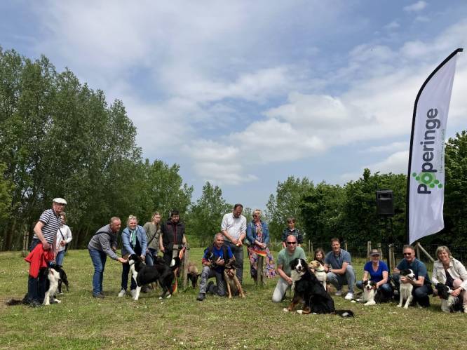 Twee hondenloopweides in Poperinge: “Plek waar je hond vrij kan rennen, maar hou steeds toezicht”