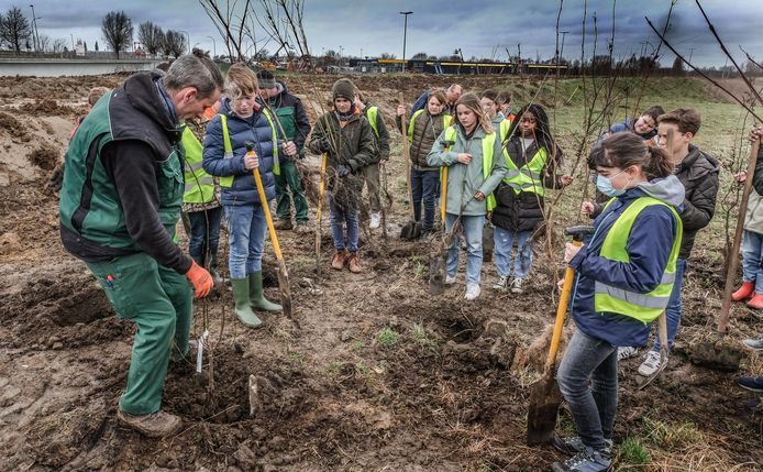 Boomplantactie Marionetten Kortrijk