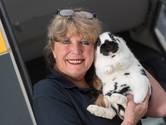 Ook na haar pensioen kunnen dieren altijd op Marja van de dierenambulance rekenen: ‘Nog minstens twintig jaar vrijwilliger’