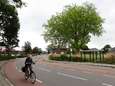 Boom van 121 jaar oud staat in de weg en moet dood, want verplaatsen is te duur