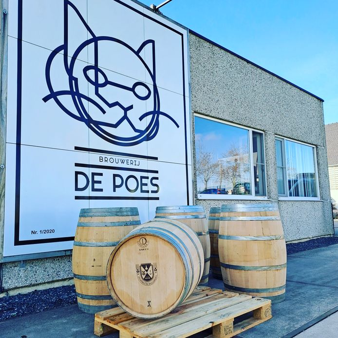 Brouwerij De Poes lanceert ‘De Poes Stowt Oak Aged’ Tielt hln.be