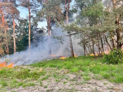 Alerte wandelaar en brandweer voorkomen grote brand op de rand van Kalmthoutse Heide