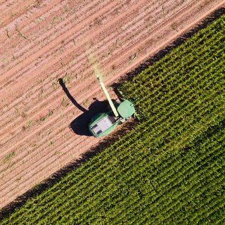 Brazilië wil vier keer zoveel duurzame brandstoffen maken. Nederland is enthousiast, maar de experts zijn huiverig