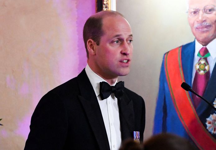 Prins William tijdens zijn speech.
