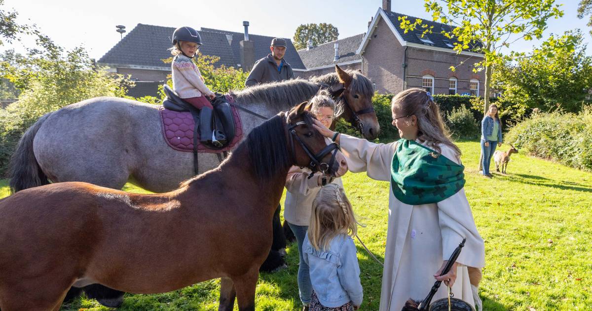Dierenmis in kerk in Ovezande; hondje Jari zit onder de prednison en een zegen kan hij goed gebruike