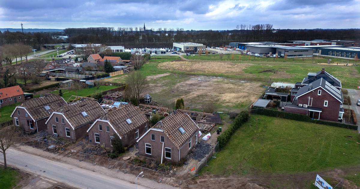 Ondanks dubieuze kaalslag toch groen licht voor woningbouw in Angerlo