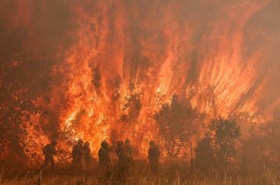 Ergste juni-hittegolf sinds 1950 in Spanje: al 25.000 hectare in de as door bosbranden