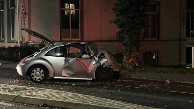 Volkswagen ramt boom langs stadsgracht: Zwollenaar (33) zwaargewond