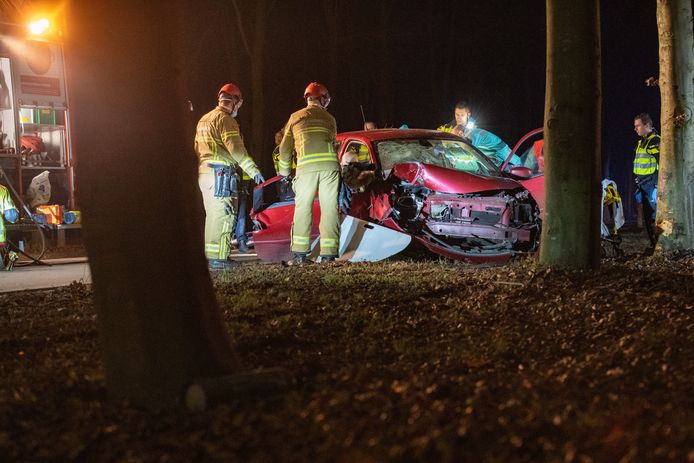 Drie inzittenden van een auto raakten zwaargewond door een boombotsing bij Twello.