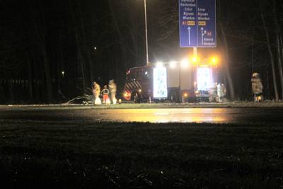 Boom op de weg: A1 tussen Goor en Enter korte tijd dicht