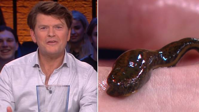 Beau laat live op tv bloedzuiger op slagader zetten, maar dat is lang niet zijn naarste beet