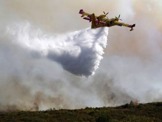Meer dan 200 hectare bos in vlammen opgegaan door bosbranden in de Ardèche