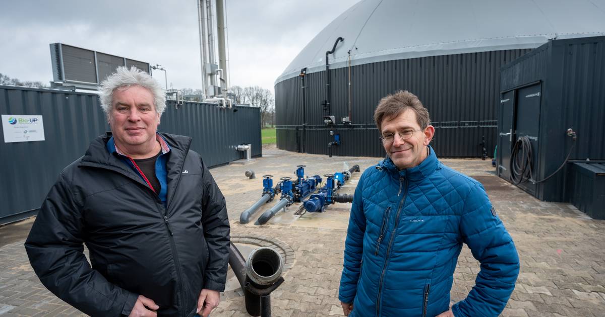 DRU Verwarming Passo RCH - wit, aardgas G25.3 / Gashaard / gaskachel