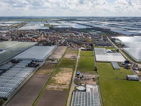 Provincie wil meer sociale huurwoningen in De Driesprong: ‘Heel vervelend’