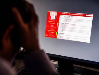 Bedrijven betalen hackers 100 miljoen euro losgeld