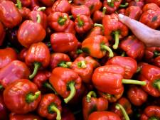 Tuinders in beroep tegen octrooi op eigenschap rode paprika