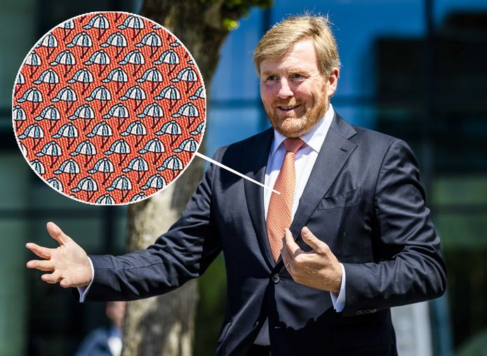 Koning Willem-Alexander. Inzet: de Panoplie Twillbi tie van Hermès.