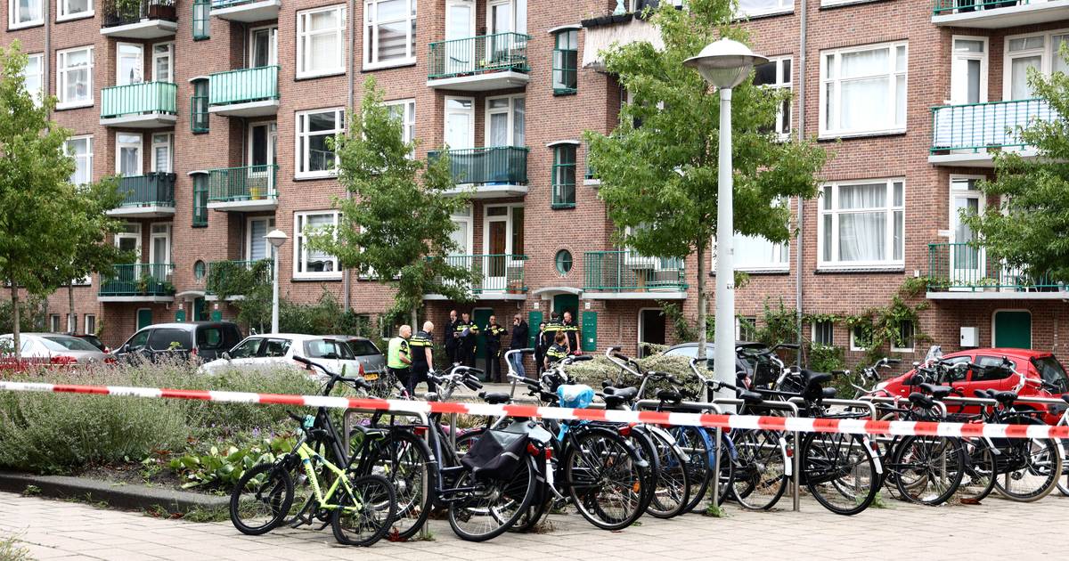 Eén slachtoffer steekpartij AmsterdamWest overleden, ander zwaargewond Amsterdam AD.nl