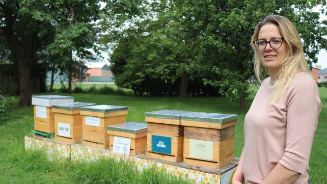Bijen en groene landbouw brengen kinderboerderij den Binnenhof nog dichter bij natuur