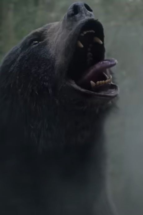 “Cocaine Bear”, le film fou inspiré de l’histoire vraie d'un ours sous coke