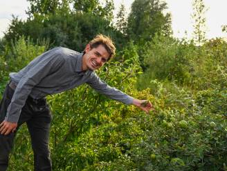 Leer alles over voedselbossen in De Zilverlink