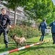 Politie kraakt versleutelde app: ‘Veel criminelen zitten nu met samengeknepen billen op de bank’