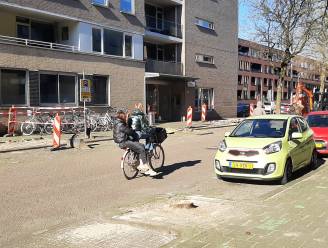 Jammer dat ‘narige perenbomen’ het loodje hebben moeten leggen