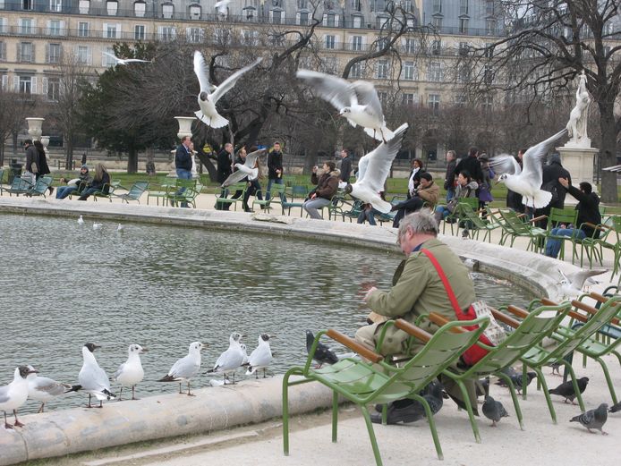 Roeselare gaat Parijse Jardin de Luxembourg achterna: stad verspreidt 231 stoeltjes over 7 groene parels | Roeselare | hln.be