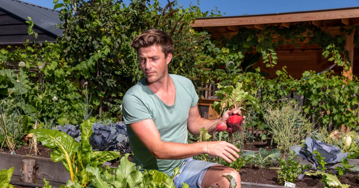 tv kok hugo kennis duikt s nachts de moestuin in ik slaap vier uur koken eten destentor nl