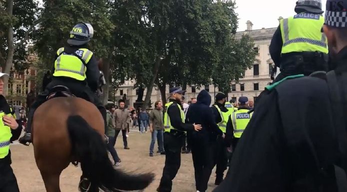 De politie komt in actie als onrust ontstaat tussen Brexiteers en Remainers.
