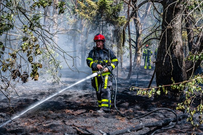 Nabij de Reeshofweg in Tilburg woedde zaterdag een natuurbrand.