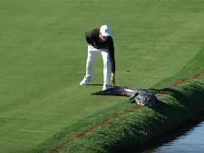 Golfer jaagt krokodil van de baan